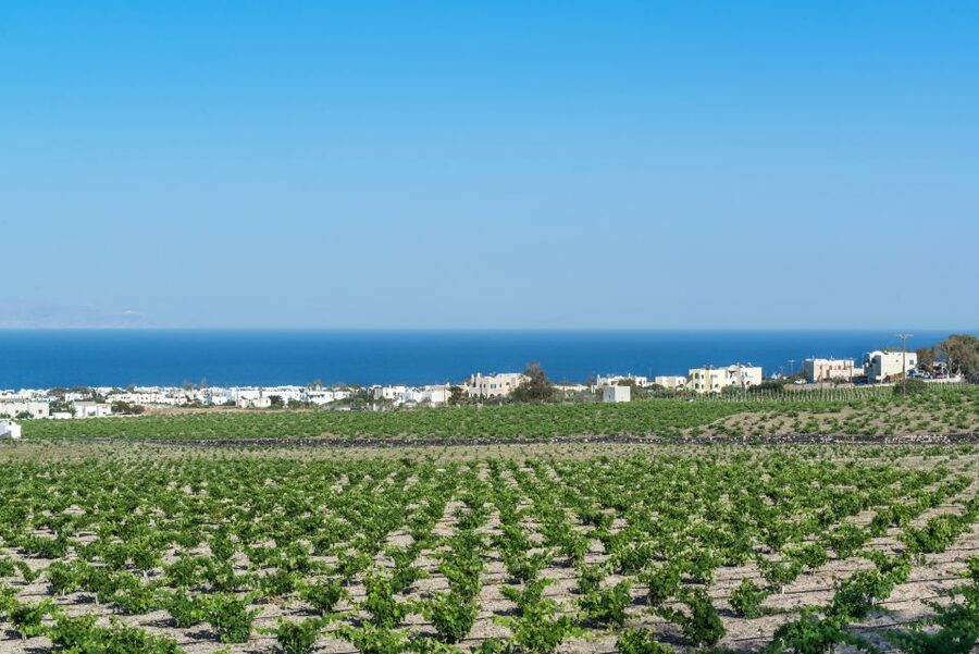 Santorini: Guided Wineries Private Tour with Wine Tastings - Getting oriented fast with air-conditioned pickup and a smooth schedule