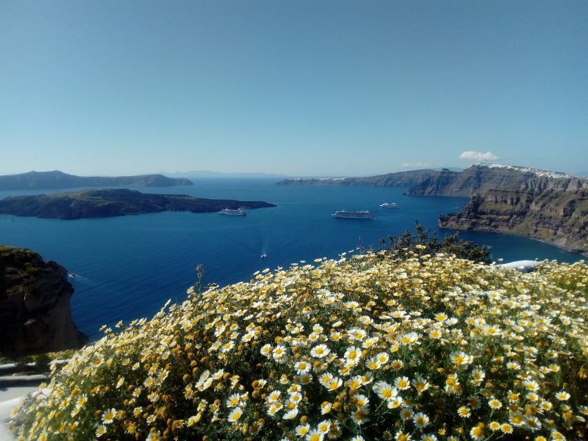 Santorini: Half-Day Sightseeing Tour with Hotel Pickup - Practical tips so your day feels smooth, not chaotic