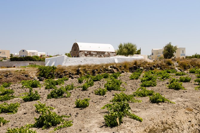 Santorini Highlights and Venetian Castles Small-Group Day Tour - Perissa black-sand beach: swimming and a real lunch break