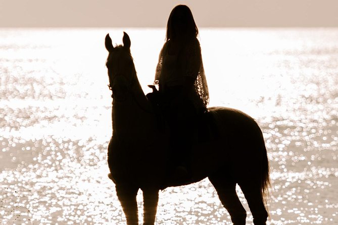 Santorini: Horse Riding to the Black Sandy Beach (Eros beach) - Riding From Megalochori Paths to Eros Beach, Black Sand Included