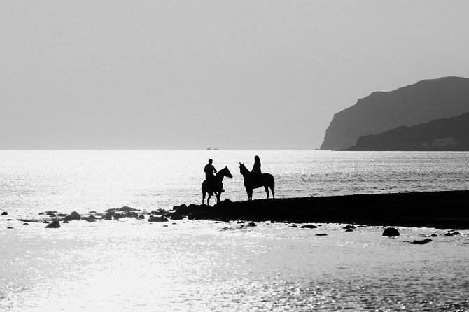 Santorini: Horse Riding to the Black Sandy Beach (Eros beach) - The Trail Segment: Vineyards, Volcanic Rock, and Quiet Gorges