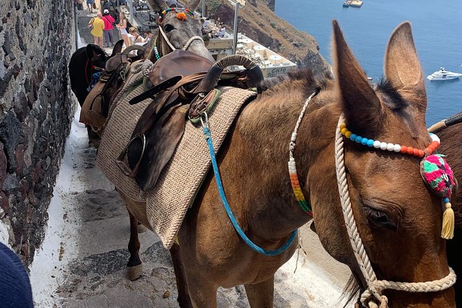 Santorini: Local Life Full Day Tour - A Family Winery Stop for Wine Tasting and Cheese