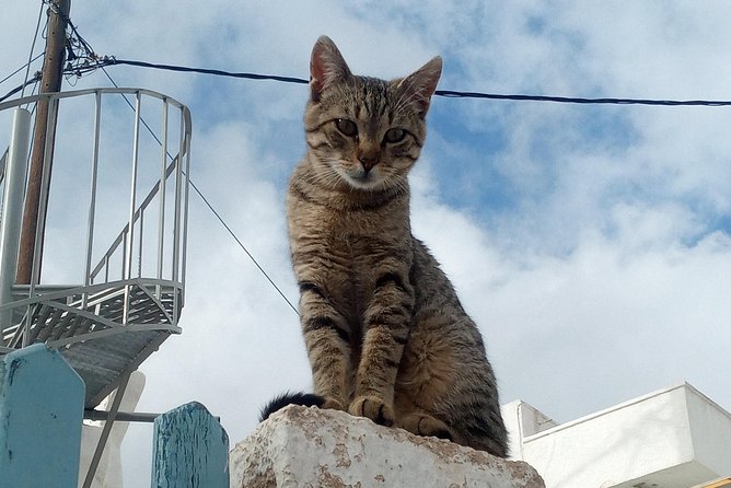 Santorini: Local Life Full Day Tour - Pickup and Timing That Reduce Stress on a Busy Island