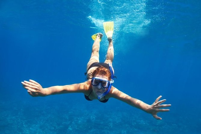 Santorini Luxury Catamaran Day Cruise with BBQ,drinks,transfer - Red Beach: quick swim time and one of Santorini’s most dramatic coasts