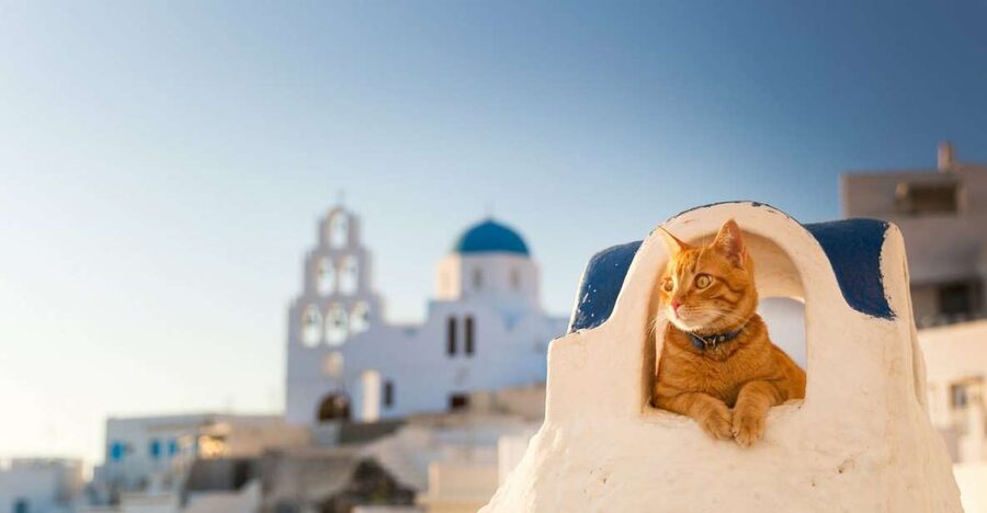 Santorini: Private 4-Hour Chauffeur Service - Why a Private 4-Hour Chauffeur Works So Well in Santorini