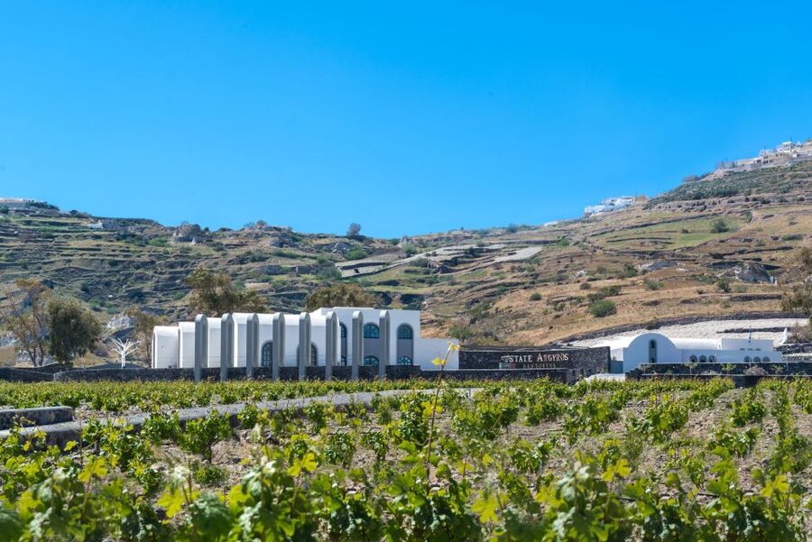 Santorini: Private 5-Hour Hidden Gems Experience - Getting there from cruise ships and terminals, without panic