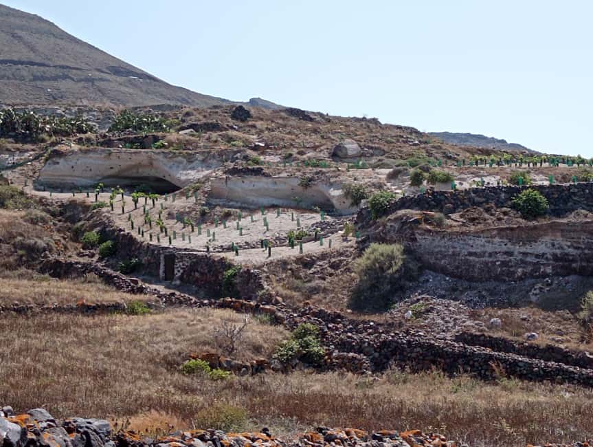 Santorini: Private Agri-Educational Visit to an Organic Farm - Key things you’ll notice on this Santorini organic farm visit