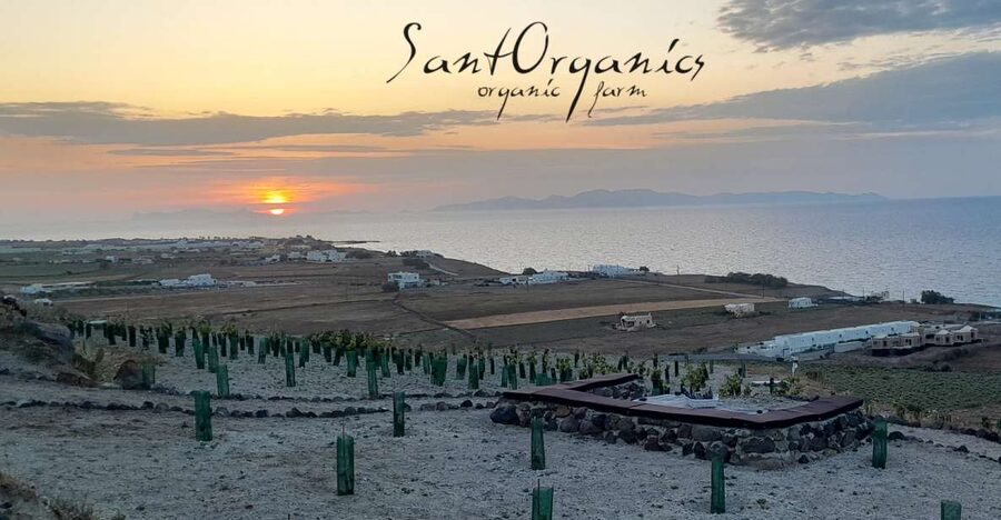Santorini: Private Agri-Educational Visit to an Organic Farm - Why an organic farm tour makes Santorini feel real