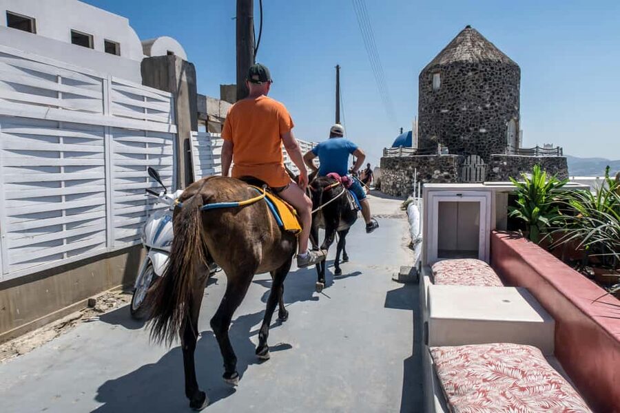 Santorini : Private Guided Highlights Tour - The Guides Make the Difference: Dimitris, Xenofon, Manos, Xena, and Zina