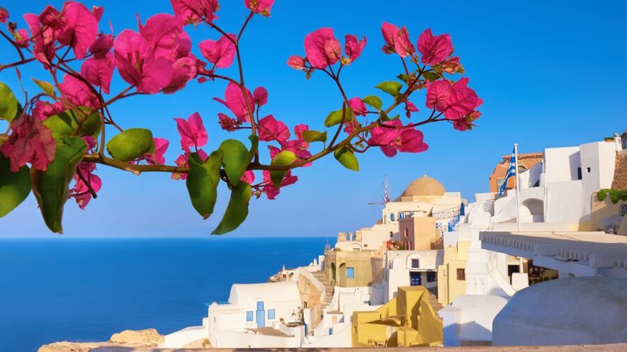 Santorini : Private Half Day - Best of & Wine Tasting Tour - Price and value at $259 per person
