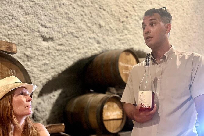 Santorini Private Wine Tasting Tour: Up to 4 Wineries & Lunch - Who this tour is best for (and who should reconsider)