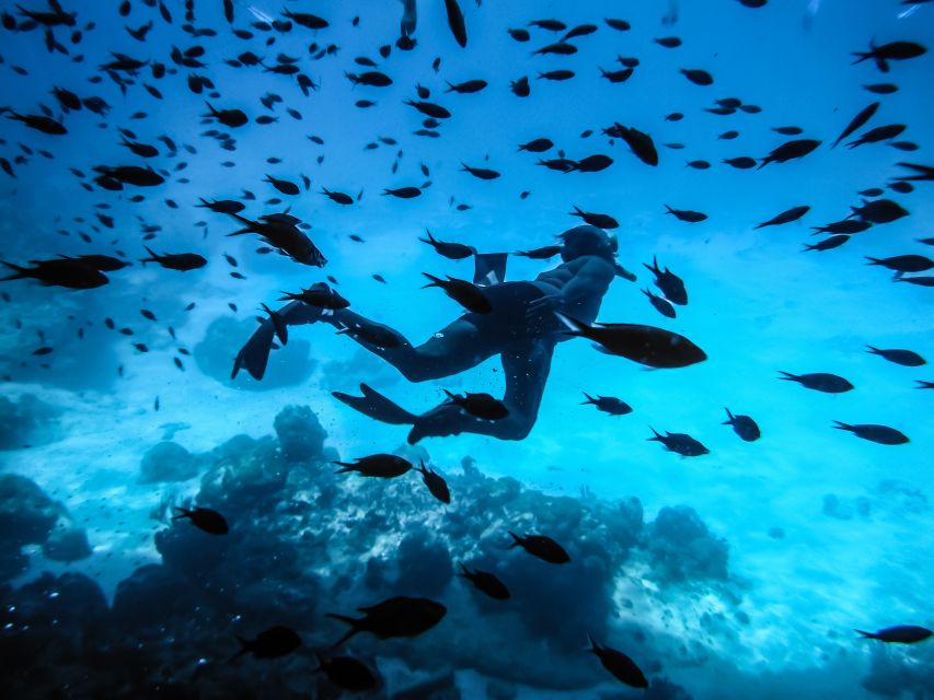 Santorini: Scuba Diving Experience for Beginners - Gear-up and the lesson that makes a first time feel doable