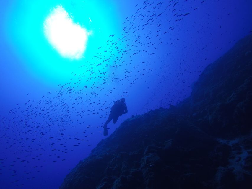 Santorini: Scuba Diving Experience for Beginners - What you’ll see underwater: Armeni reef, lava formations, and “just breathe” moments