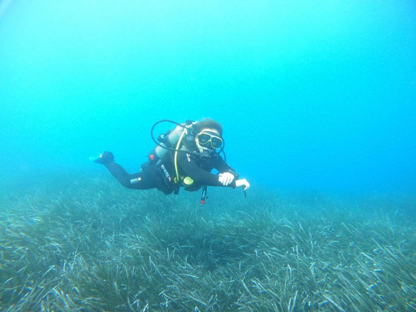 Santorini: Scuba Diving Experience in Caldera for Beginners - The Main Water Session Around the Volcanic Reef: About 45 Minutes in Clear Blue Water