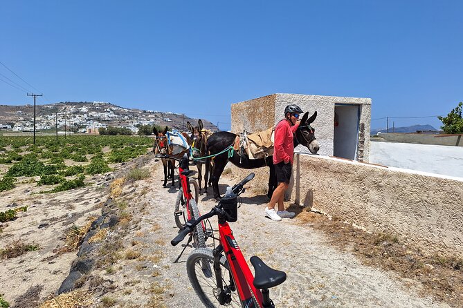 Santorini Small Group Guided E-bike Tour & Local Tomato Museum - Stop 2: Perissa Black Sand Beach (A Quick Lesson in Geology)