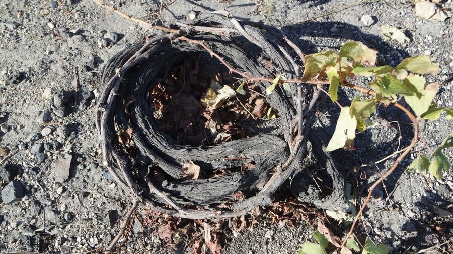 Santorini: Small Group Tour of 3 Local Wineries - Comfort and what to bring for a warm island day