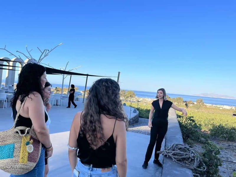 Santorini: Small Group Tour of 3 Local Wineries - What to look for as you taste: Assyrtiko, Mandilaria, Aidani