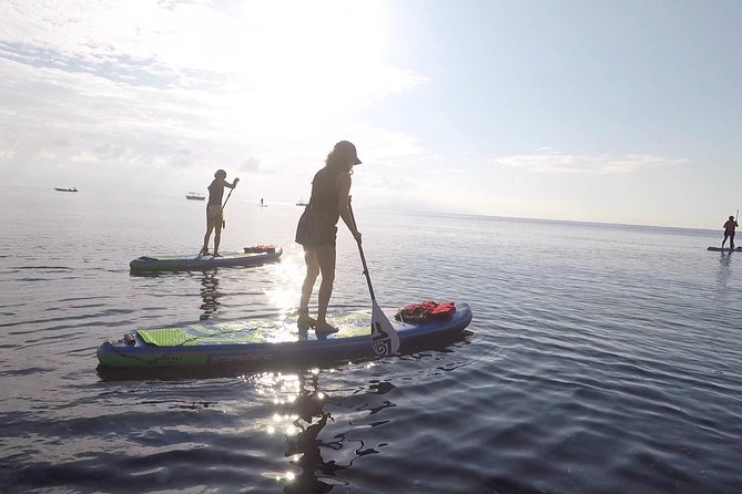 Santorini: Stand-Up Paddle and Snorkel Adventure - SUP and snorkel on Santorini, how it really feels in the water