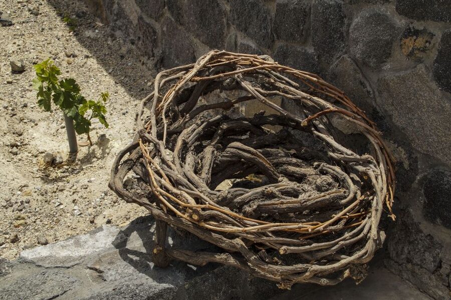 Santorini: Three Wineries and One Brewery Tour with Tastings - Estate Argyros, where modern design still respects old methods