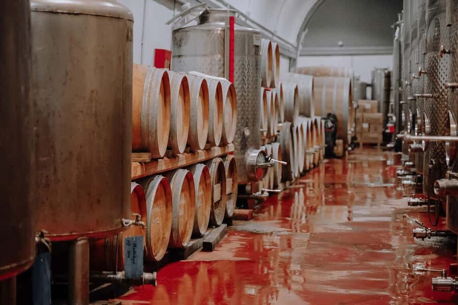 Santorini: Through the Grapevine Tour Winery Tasting Tour - Key Things I’d Plan Around Before You Go
