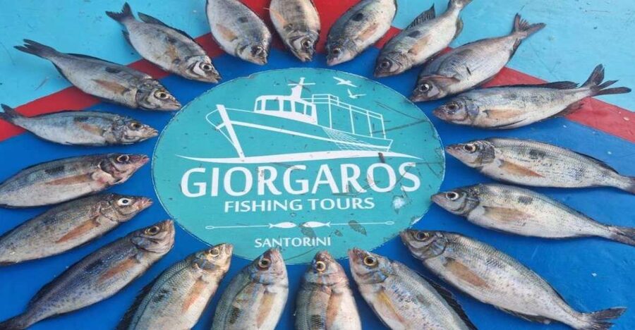 Santorini: Traditional Fishing Trip and Fresh Fish Lunch - Key things I’d circle before you go
