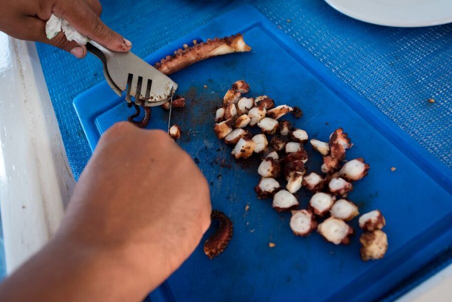 Santorini: Traditional Fishing Trip and Fresh Fish Lunch - Shrimp, octopus, and net hauling: the hands-on part you’ll actually remember