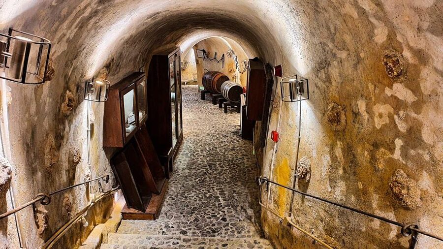 Santorini Visit Cave Wine museum and Wine tasting - Should You Book the Cave Wine Museum and Tasting?