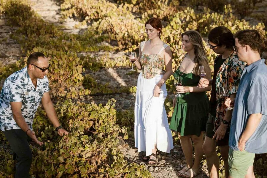 Santorini: Wine Tasting Tour with Snacks - Gaia Wines (or Gavalas or Anhydrous): Mapping the Main Santorini Wine Styles
