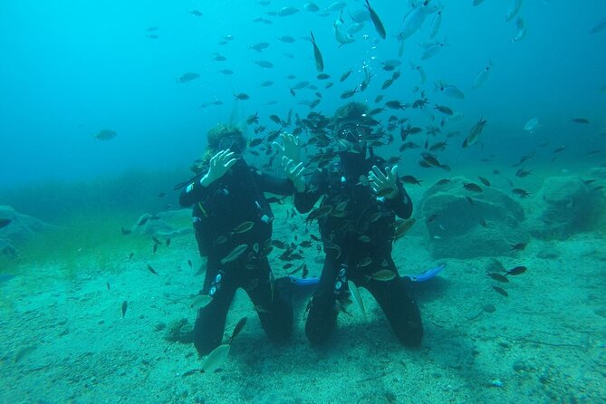 Scuba Diving Experience in Santorini - Getting There Smoothly: Gear, Transfers, and Small-Group Comfort