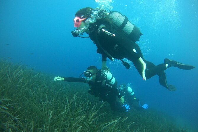 Scuba Diving Experience in Santorini - Quick Practical Notes for Your Santorini Day