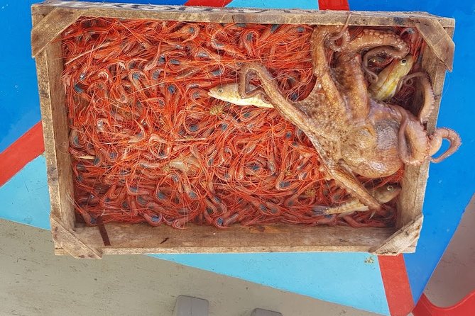 Semi - Private Fishing Tour (transportation included) - Who this trip is best for