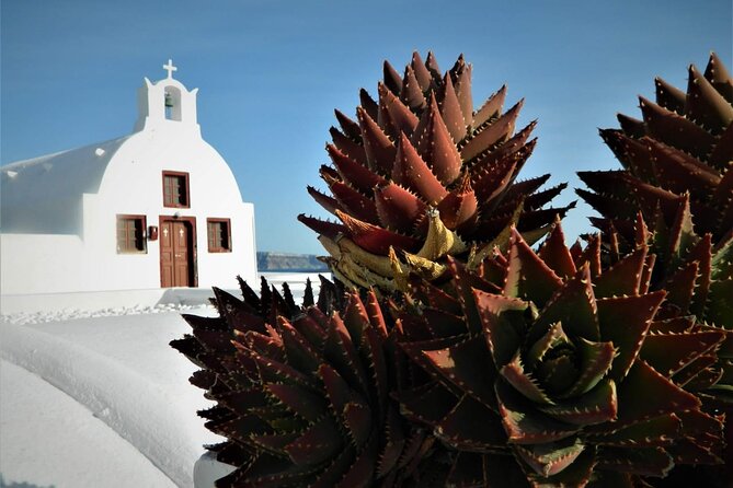 Stress-Free Santorini Shore Excursion: Private Highlights Tour - How the guide and private pacing changes the whole day